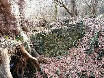 Vestige du mur du moulin à huile, proche du chemin de Thore