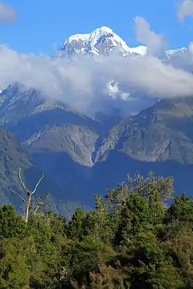 Image illustrative de l’article Mont Tasman