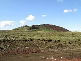 Image illustrative de l’article Grímsnes