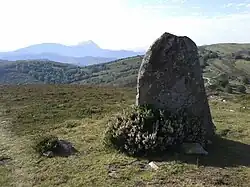 Image illustrative de l’article Menhir de Mugarriluze