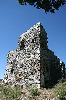 Image illustrative de l’article Château de Canac (Murat-sur-Vèbre)