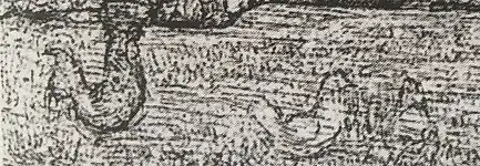 Coq et poules de la première variante.