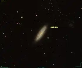 Image illustrative de l’article NGC 1035