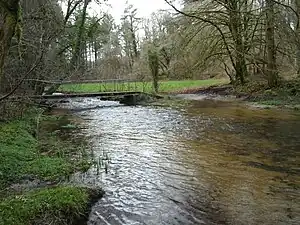 Passerelle sur le Naïc en aval du moulin de Kerivarch.