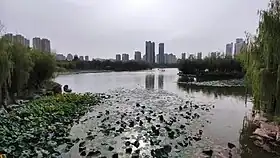 District de Rencheng