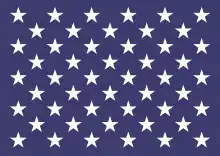 Pavillon de l'United States Navy