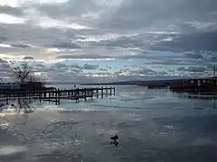 Le lac de Neusiedl en hiver.