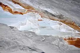 New Canary Spring du parc national de Yellowstone aux États-Unis