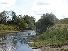 Photographie d'une rivière à travers un espace naturel avec des arbres et buissons.