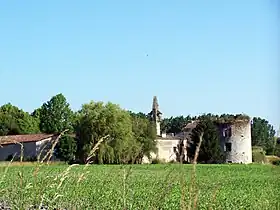 Le château (juin 2013).