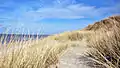 Plage de Bray-Dunes dans le Nord