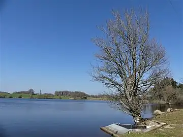 L'étang de la Grande Cazine.