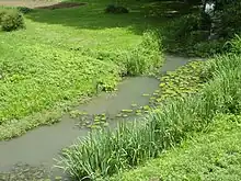 Photographie en couleurs d'un petit ruisseau coulant entre deux berges herbeuses.