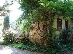 Photographie en couleurs en couleurs d'un bâtiment ancien non habité et partiellement envahi par la végétation.
