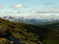 Oldfjällen en été