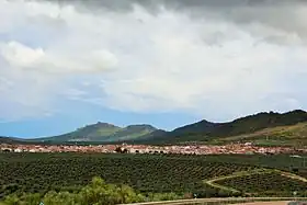 Oliva de Mérida
