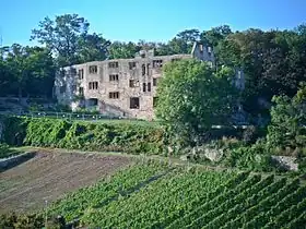 Image illustrative de l’article Château fort de Landskron (Oppenheim)