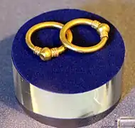 2 boucles en or reposent sur un écrin bleu.