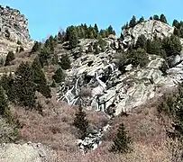 Photographie d'une cascade qui coule et qui est forestière ; il y a plusieurs barres rocheuses claires dans ce cours d'eau.