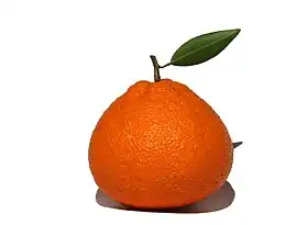 Image illustrative de l’article Ortanique (tangor)
