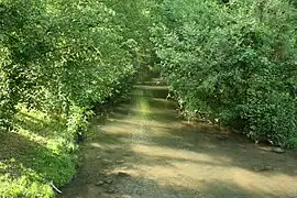 L'Orvanne, environ 10 m en aval de la retenue d'eau d'Écuelles à Moret-Loing-et-Orvanne.