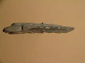 Végétal (?) sculpté en os.