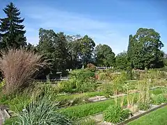 Herbetum : les graminées