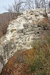 Ruines de la forteresse de Borač.