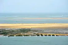 Ostréiculture sur le banc d'Arguin