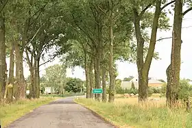 Ostrów (Biała Podlaska)