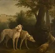 Deux lévriers, l'un flairant un lièvre, on y voit le château de Bellevue dans le lointain. Jean-Baptiste Oudry. 115&nbsp;×&nbsp;122&nbsp;cm. (Musée de l'Ermitage, Russie)