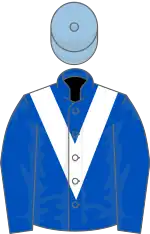 Royal blue, white chevron, light blue cap