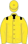 Yellow, black epaulets