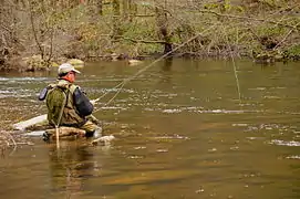 Pêche à la mouche sur l'Agout.