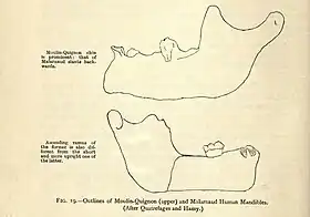 Image illustrative de l’article Moulin Quignon