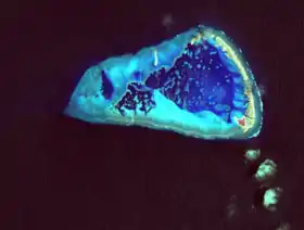 Vue satellite de One-tree Island, montrant le récif corallien.