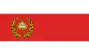 Drapeau de Boguchwała