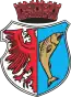 Blason de Kostrzyn nad Odrą