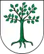 Blason de Kruszwica