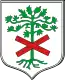 Blason de Międzybórz
