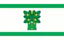 Drapeau de Gmina Ojrzeń