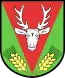 Blason de Dołhobyczów
