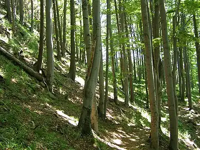 Skalka : réserve naturelle.