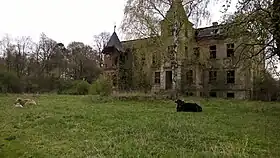 Międzylesie (Żagań)