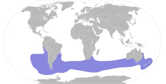 Répartition du prion de Belcher