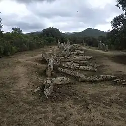 Image illustrative de l’article Alignement de Palaghju