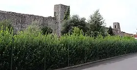 Image illustrative de l’article Murailles de Paganico