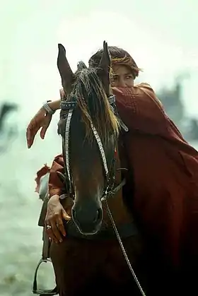 Image illustrative de l’article Cheval au Pakistan