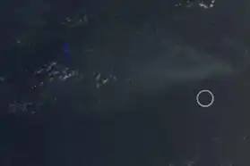 Photographie satellite du Helen Reef avec la localisation supposée de Pieraurou marquée par un cercle.