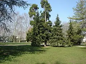 Le parc Bazin, dit également « parc des Acacias ».
